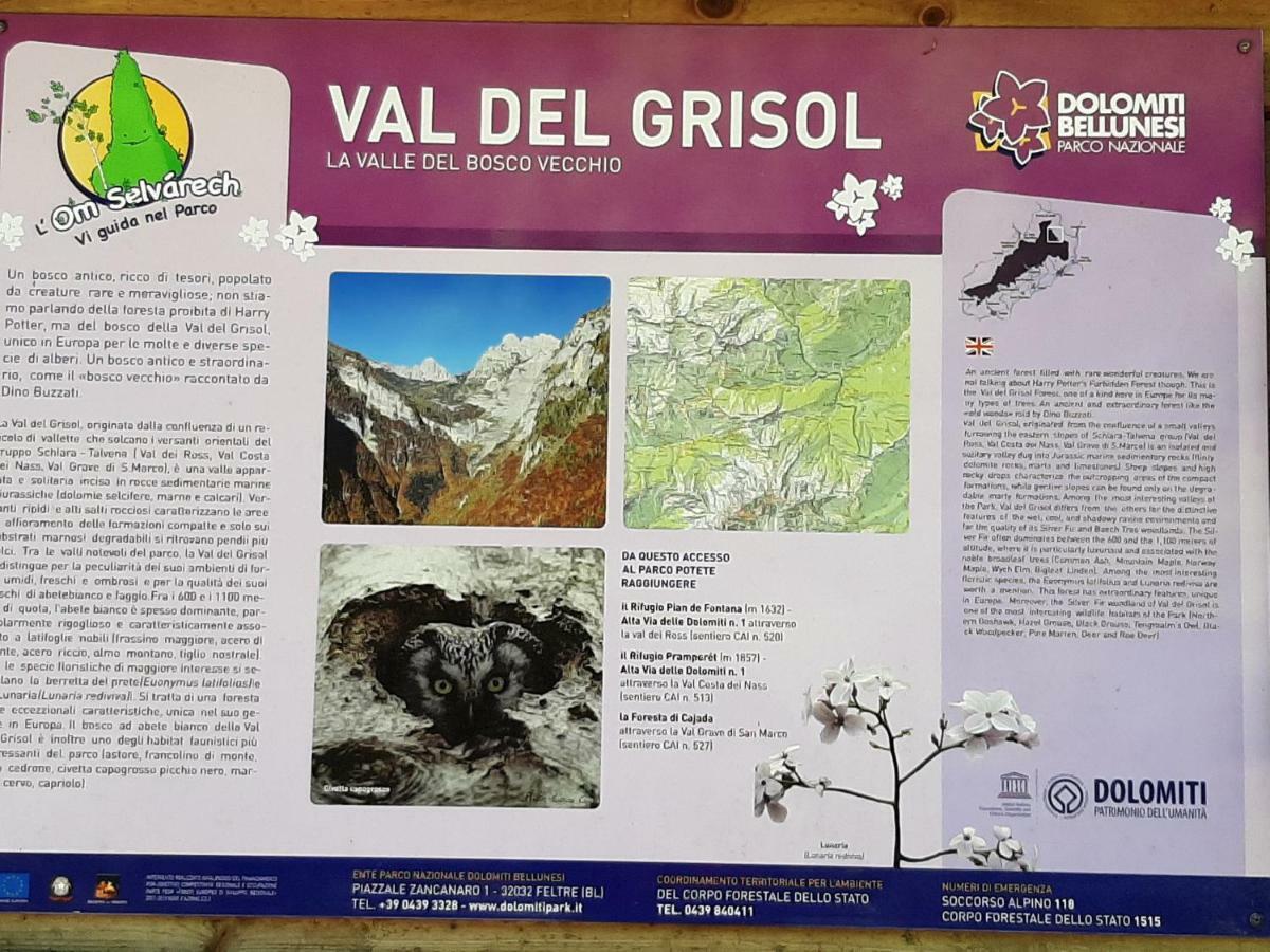 Kalipe Dolomiti Διαμέρισμα Soffranco Εξωτερικό φωτογραφία