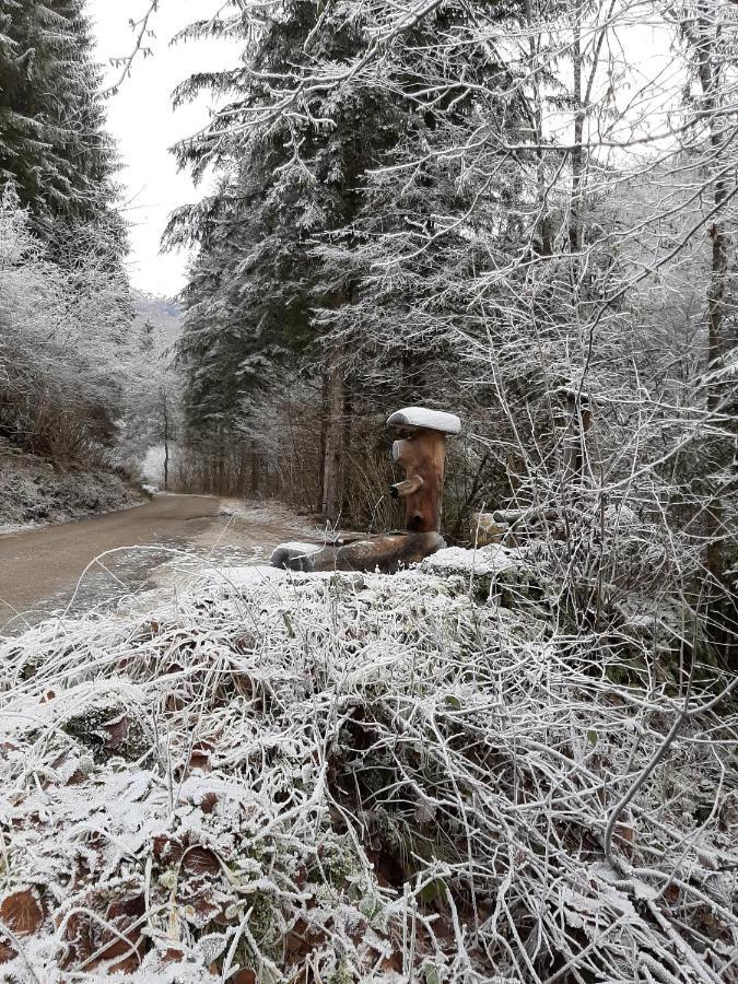 Kalipe Dolomiti Διαμέρισμα Soffranco Εξωτερικό φωτογραφία